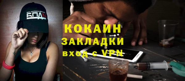 прущие грибы Волосово