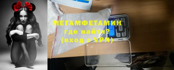 прущие грибы Волосово