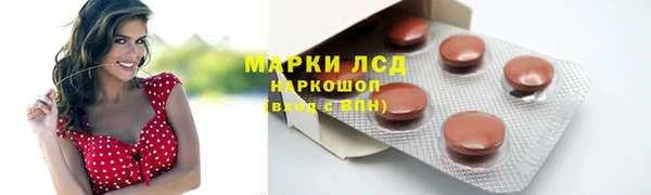 прущие грибы Волосово