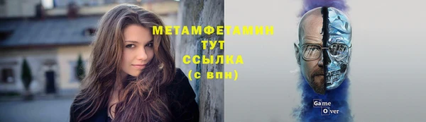 прущие грибы Волосово