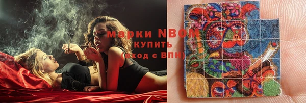 прущие грибы Волосово