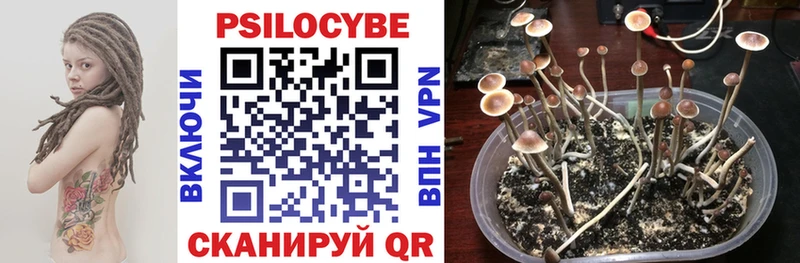 как найти закладки  Жиздра  Галлюциногенные грибы GOLDEN TEACHER 